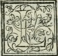 Picture 50 of 114 from I marmi del Doni, academico peregrino (1552), leaf 276