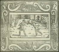 Picture 53 of 114 from I marmi del Doni, academico peregrino (1552), leaf 288