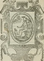 Picture 54 of 114 from I marmi del Doni, academico peregrino (1552), leaf 291