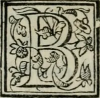 Picture 67 of 114 from I marmi del Doni, academico peregrino (1552), leaf 333