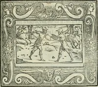 Picture 70 of 114 from I marmi del Doni, academico peregrino (1552), leaf 340
