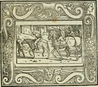 Picture 72 of 114 from I marmi del Doni, academico peregrino (1552), leaf 350