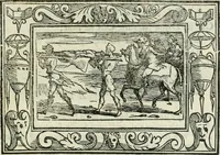 Picture 75 of 114 from I marmi del Doni, academico peregrino (1552), leaf 356