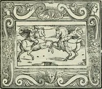 Picture 88 of 114 from I marmi del Doni, academico peregrino (1552), leaf 452