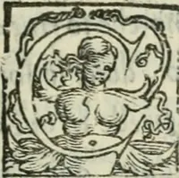 Picture 105 of 114 from I marmi del Doni, academico peregrino (1552), leaf 490