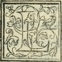 Picture 109 of 114 from I marmi del Doni, academico peregrino (1552), leaf 526
