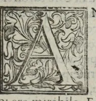 Picture 40 of 55 from I marmi del Doni, academico peregrino, cioè, Ragionamenti introdotti a farsi da varie conditioni d'huomini, à luoghi di honesto piacere in Firenze : ripieno di discorsi in varie scienze & discipline ; diviso in quattro libri .. (1609), leaf 233