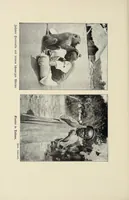An illustration from Im Banne der Furcht : Sitten und Gebräuche der Wapare in Ostafrika (1922)