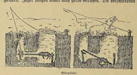 Picture 8 of 10 from Im Banne der Furcht : Sitten und Gebräuche der Wapare in Ostafrika (1922), leaf 164