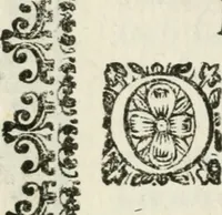 An illustration from Imeneo trionfante nelle reali nozze dell' A. S. di P. P. con la ser.a principes.a di Toscana (1628)