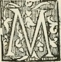 An illustration from Imeneo trionfante nelle reali nozze dell' A. S. di P. P. con la ser.a principes.a di Toscana (1628)