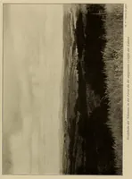 An illustration from Im Hochland von Mittel-Kamerun .. (1914)