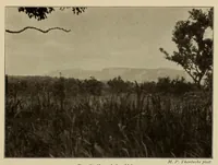 An illustration from Im Hochland von Mittel-Kamerun .. (1914)