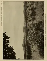 Picture 15 of 17 from Im Hochland von Mittel-Kamerun .. (1914), leaf 205