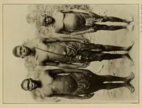 An illustration from Im Hochland von Mittel-Kamerun .. (1914)