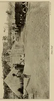 An illustration from Im Hochland von Mittel-Kamerun .. (1914)