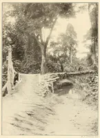 Picture 15 of 16 from Im Hochland von Mittel-Kamerun .. (1914), leaf 145