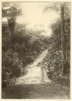 An illustration from Im Hochland von Mittel-Kamerun .. (1914)