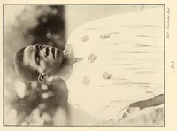 An illustration from Im Hochland von Mittel-Kamerun .. (1914)
