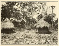 An illustration from Im Hochland von Mittel-Kamerun .. (1914)