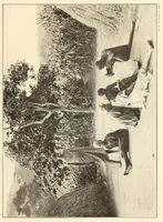 An illustration from Im Hochland von Mittel-Kamerun .. (1914)