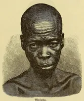 An illustration from Im Innern Afrikas : die Erforschung des Kassai während der Jahre 1883, 1884 und 1885 (1891)