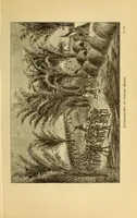 An illustration from Im Innern Afrikas : die Erforschung des Kassai während der Jahre 1883, 1884 und 1885 (1891)