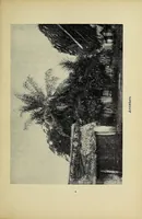 An illustration from Im Lande des Fetisches : ein Lebensbild als Spiegel afrikansichen Volkslebens (1905)
