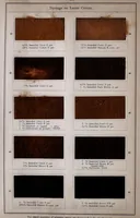 Picture 1 of 2 from Immedial brown (1910), leaf 27
