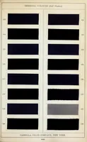An illustration from Immedial colours on piece-goods (1900)