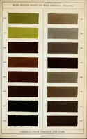 An illustration from Immedial colours on piece-goods (1900)