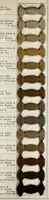 An illustration from Immedial colours on cotton yarn (1900)
