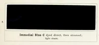 Picture 7 of 10 from The immedial colours and their application on cotton (1901), leaf 117