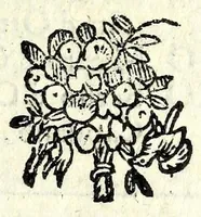 Picture 2 of 7 from I morti vivi : comedia (1576), leaf 21