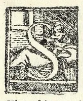 An illustration from I morti vivi : comedia (1576)