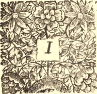 Picture 1 of 4 from The vnreasonableness of separation; or, An impartial account of the history, nature, and pleas of the present separation from the communion of the Church of England. To which, several late letters are annexed, of eminent Protestant divines abroad, concerning the nature of our differences, and the way to compose them (1681), leaf 10