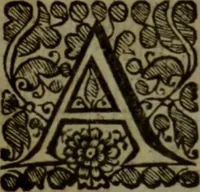 An illustration from An impartial collection of the great affairs of state : from the beginning of the Scotch rebellion in the year MDCXXXIX. to the murther of King Charles I. Wherein the first occasions, and the whole series of the late troubles in England, Scotland, & Ireland, are faithfully represented. Taken from authentick records, and methodically digested, (1682)