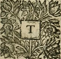 An illustration from An impartial history of the wars of Ireland, with a continuation thereof (1693)