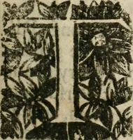 Picture 2 of 30 from An impartial history of the wars of Ireland, with a continuation thereof (1693), leaf 206