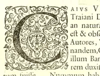 An illustration from Imperatorum romanorum numismata ex aere, mediae et minimae formae: descripta & enarrata (1671)