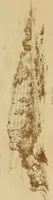 An illustration from The imperial island; England's chronicle in stone; (1886)