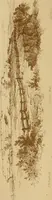 An illustration from The imperial island; England's chronicle in stone; (1886)