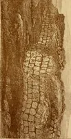 An illustration from The imperial island; England's chronicle in stone; (1886)