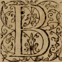 An illustration from Imperii Graeci historia ab anno MCXVII in quo Zonaras definit, usque ad annum MCCIII, libris XIX descripta: (1593)