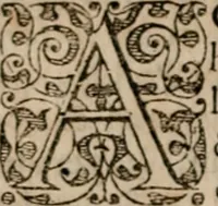 An illustration from Imperii Graeci historia ab anno MCXVII in quo Zonaras definit, usque ad annum MCCIII, libris XIX descripta: (1593)