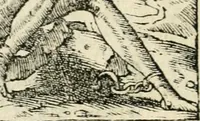Picture 206 of 412 from Diverse imprese accommodate a diuerse moralità : con versi che i loro significati dichiarano insieme con molte altre nella lingua italiana non piu tradotte (1551), leaf 105
