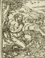 Picture 221 of 412 from Diverse imprese accommodate a diuerse moralità : con versi che i loro significati dichiarano insieme con molte altre nella lingua italiana non piu tradotte (1551), leaf 111