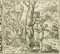 Picture 224 of 412 from Diverse imprese accommodate a diuerse moralità : con versi che i loro significati dichiarano insieme con molte altre nella lingua italiana non piu tradotte (1551), leaf 112