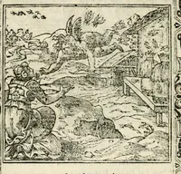 An illustration from Diverse imprese accommodate a diuerse moralità : con versi che i loro significati dichiarano insieme con molte altre nella lingua italiana non piu tradotte (1551)