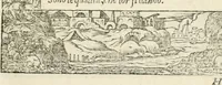 Picture 239 of 412 from Diverse imprese accommodate a diuerse moralità : con versi che i loro significati dichiarano insieme con molte altre nella lingua italiana non piu tradotte (1551), leaf 120